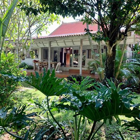 Quiet 3 Br-3 Bathroom Villa In Heart Of Canggu 外观 照片